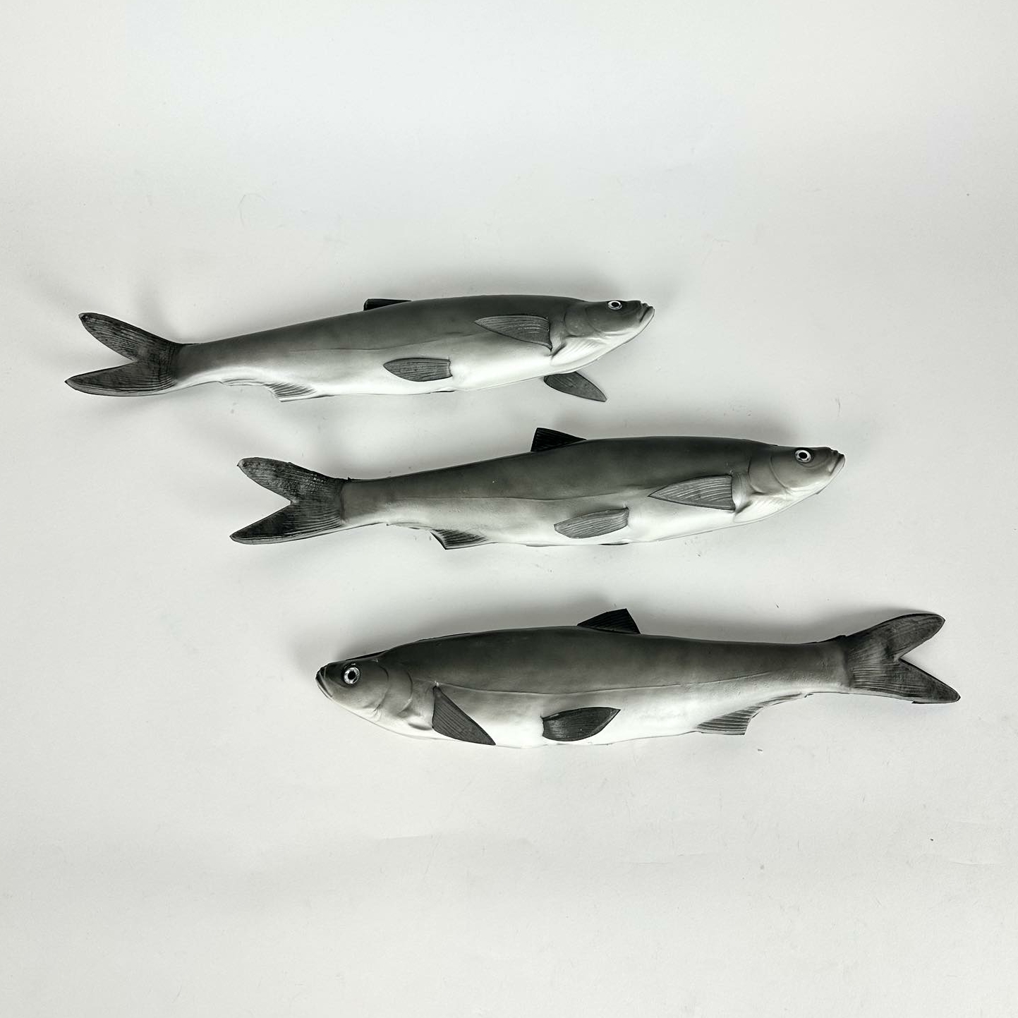 Муляж Оселедець MF-059