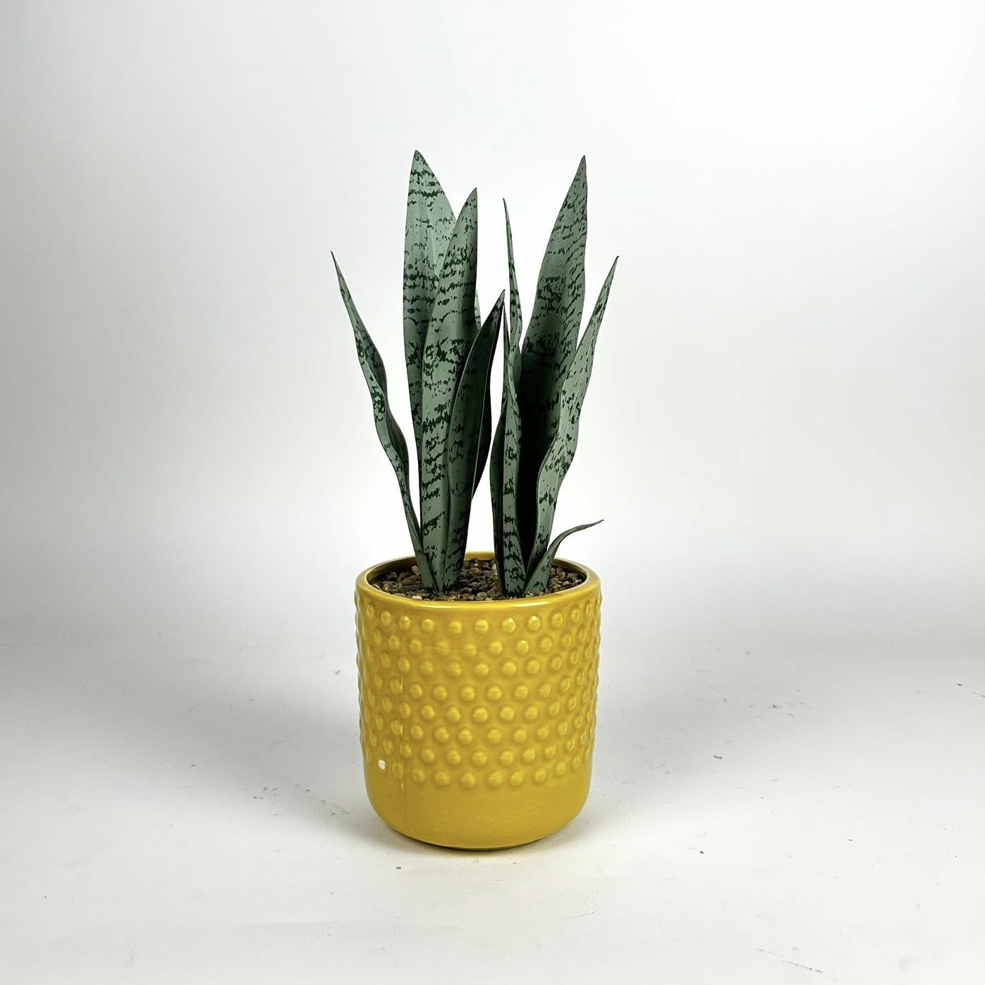 Сансів'єра штучна у жовтому керамічному вазоні FW-286