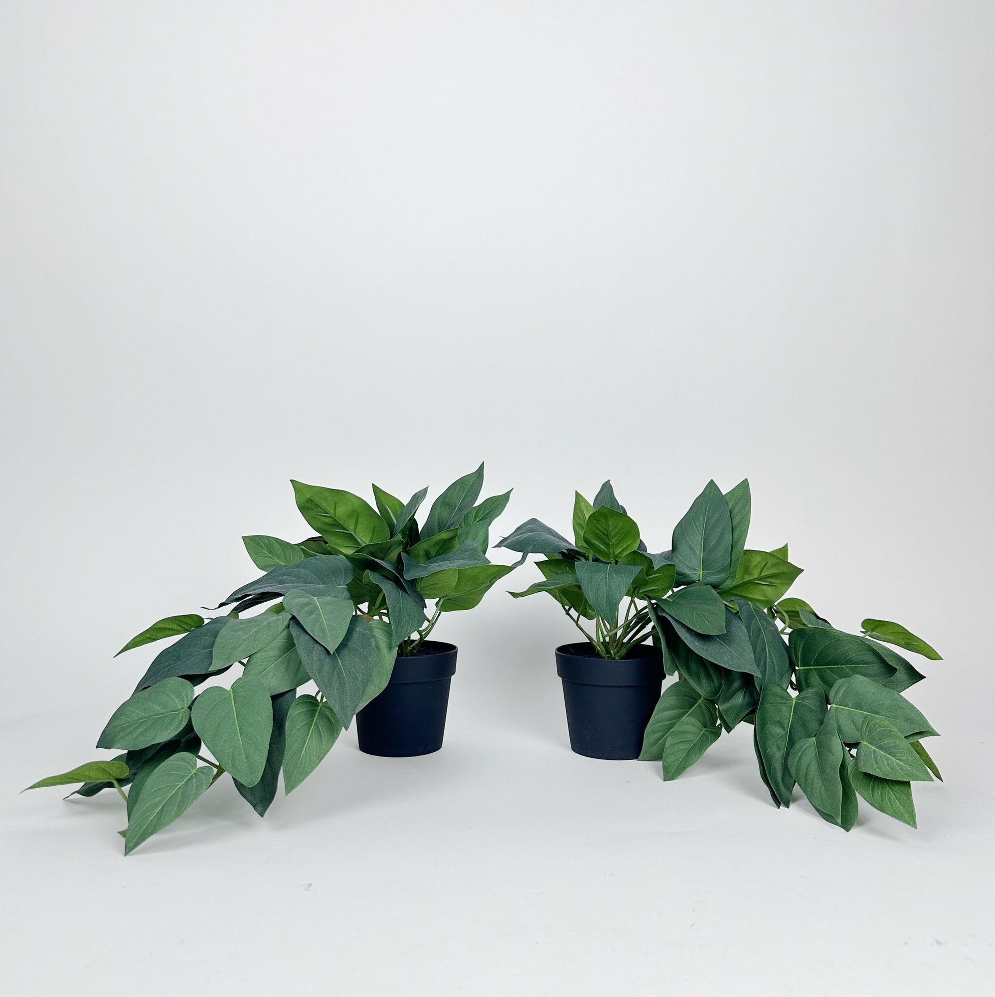 Епіпремнум штучний у чорному вазоні FW-293