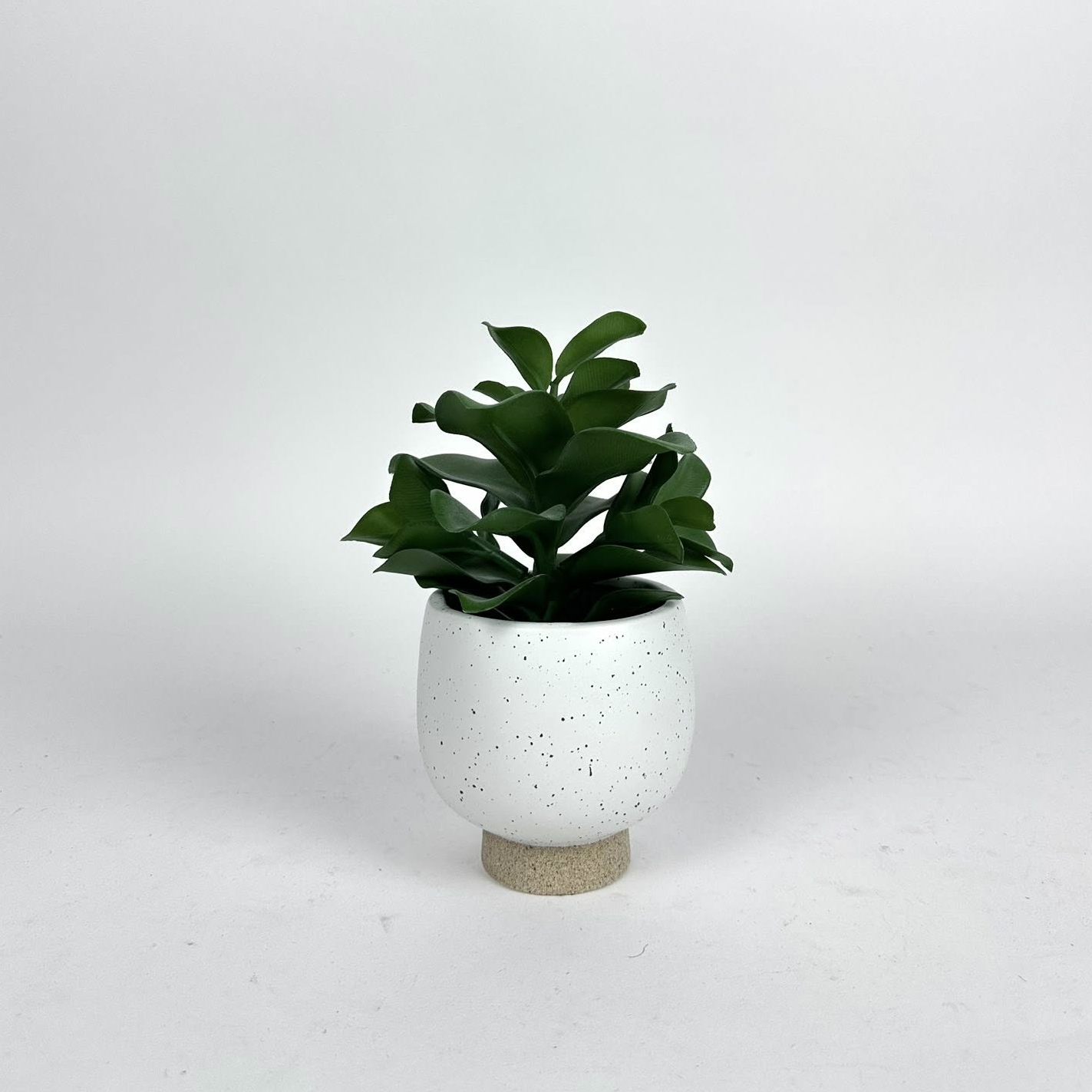 Сукулент штучний у біло-бежевому кашпо FW-303