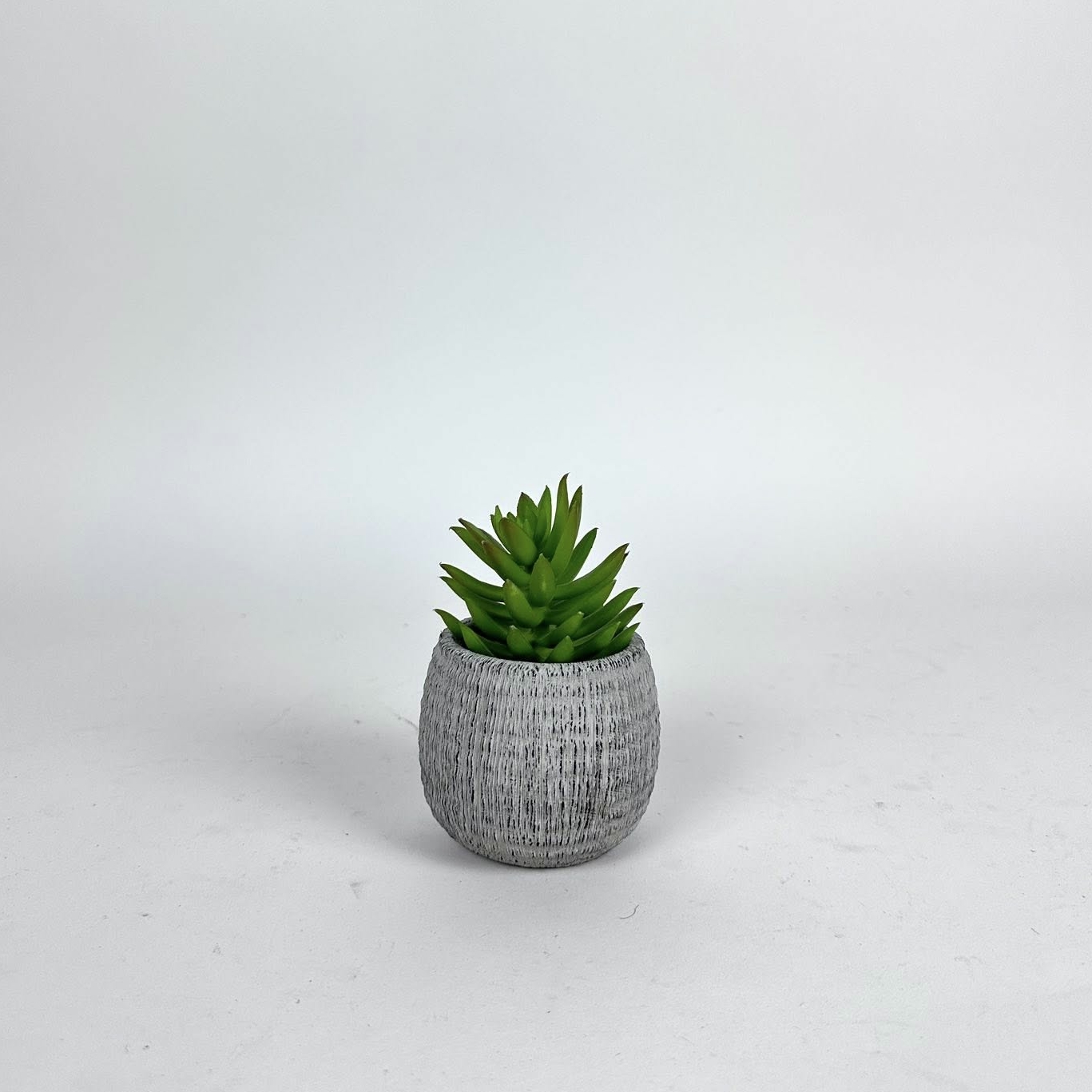 Сукулент штучний малий у сірому кашпо FW-304