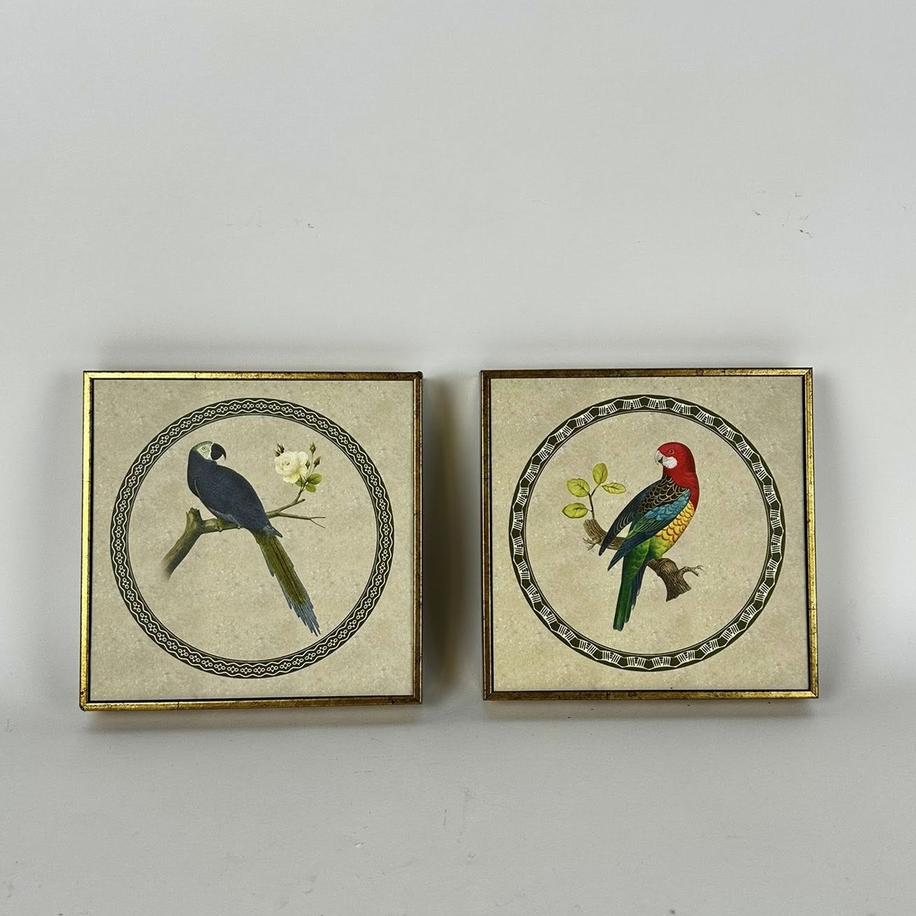 Картинка у вінтажному стилі серія Папуги AR-1232