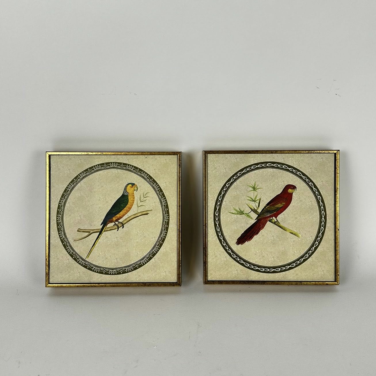 Картинка у вінтажному стилі серія Папуги AR-1233