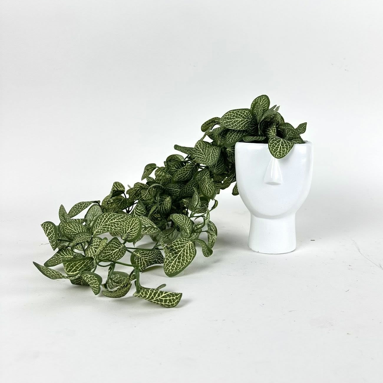 Фіттонія ампельна в білому кашпо з обличчям FW-309