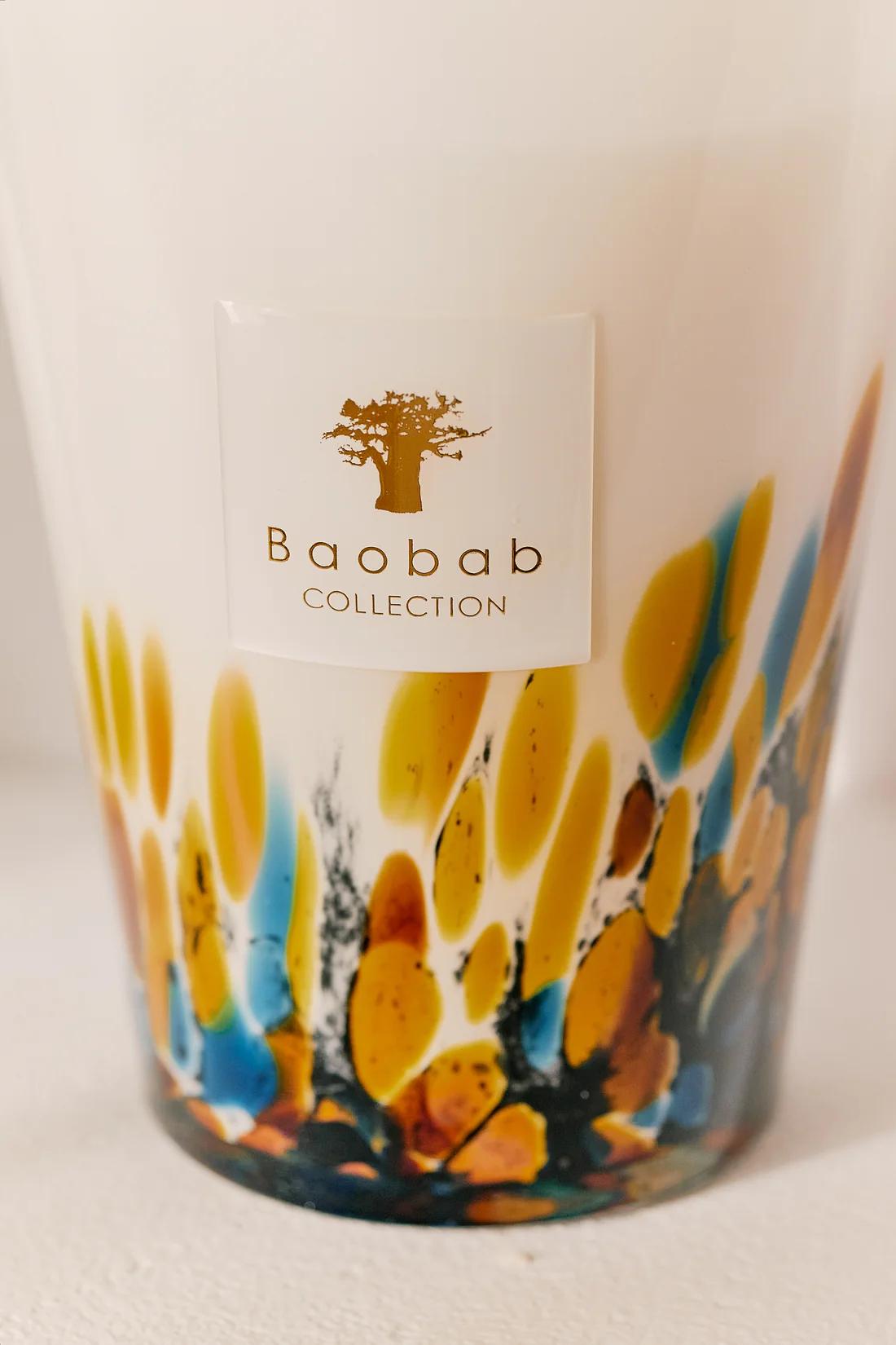 BAOBAB Свеча ароматическая Mayumbe из коллекции Rainforest: коричное дерево, черный перец, гальбанум