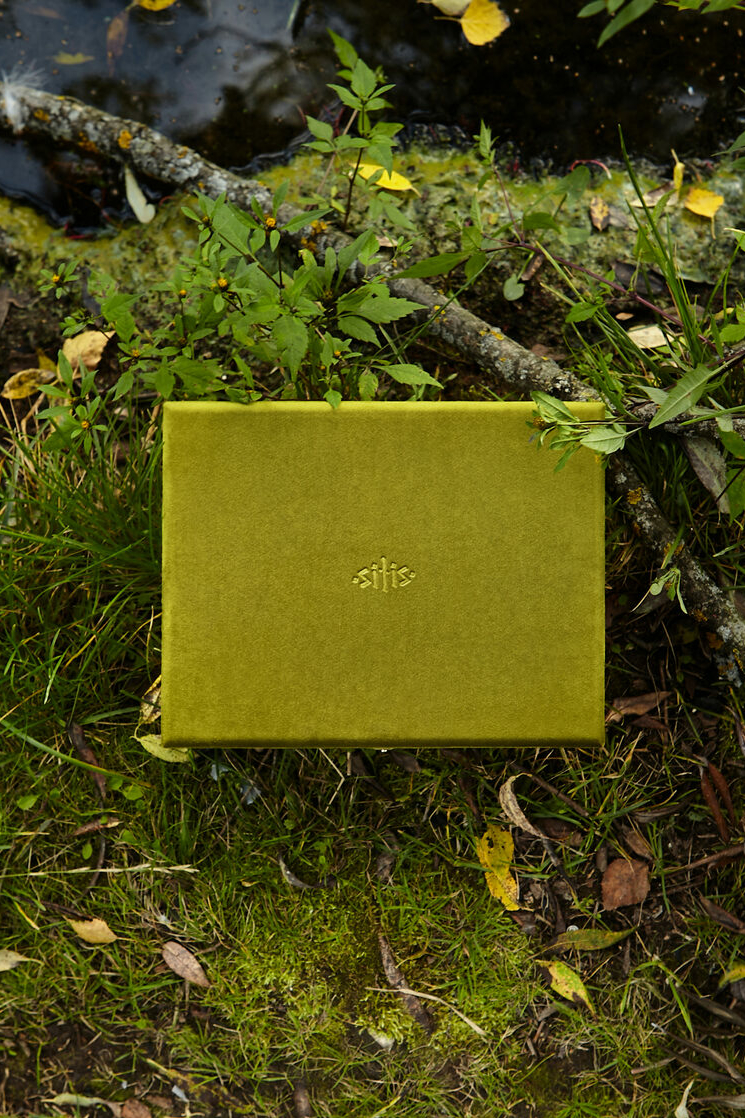 SITIS Шкатулка для украшений Olive, двухуровневая