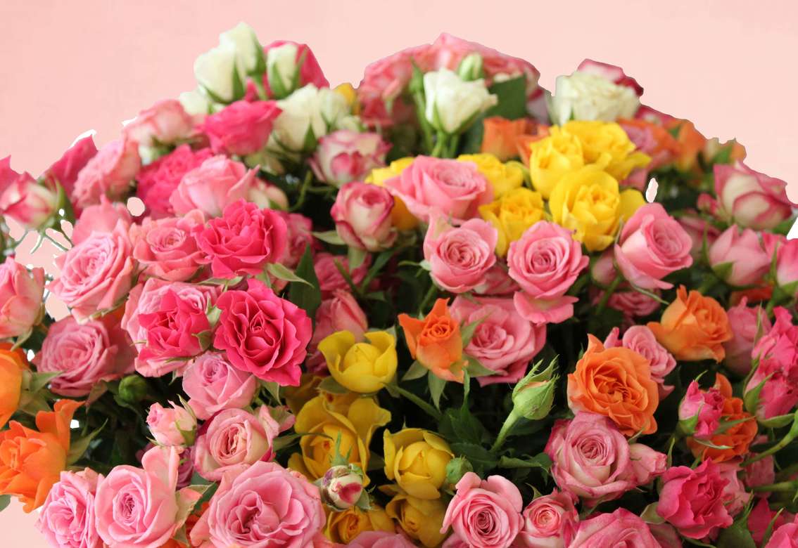 Веточная роза