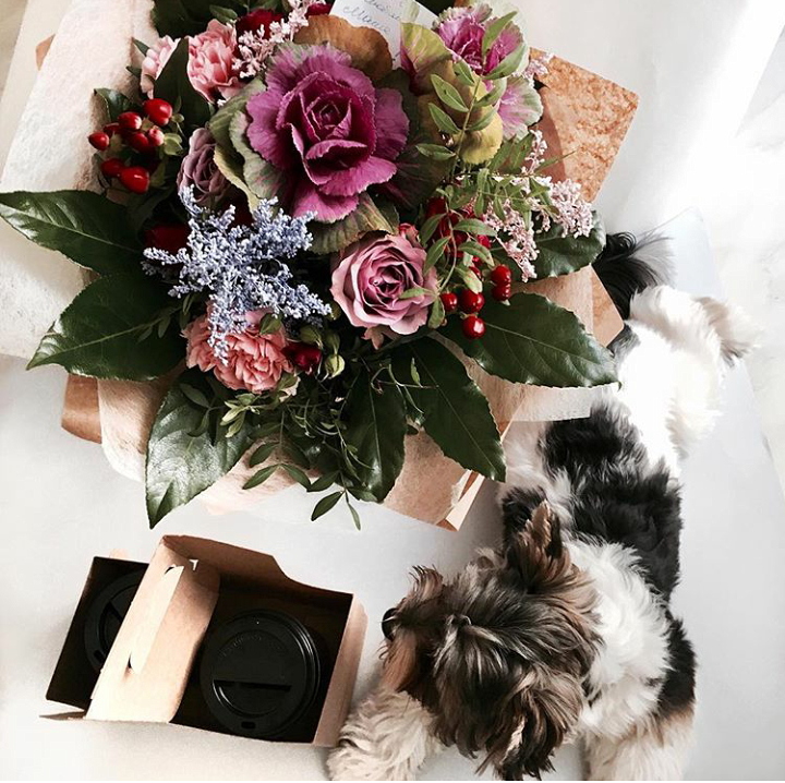 Счастливое утро