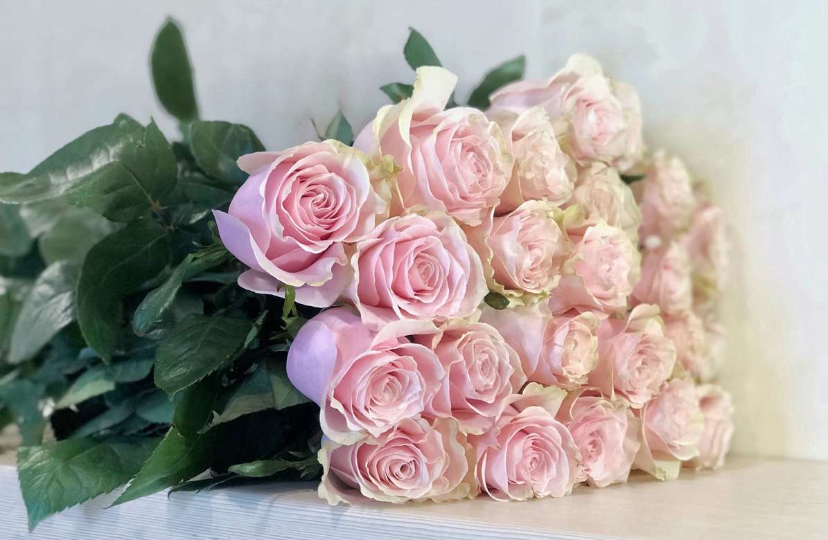 Роза Pink Mondial(Эквадор) 80см