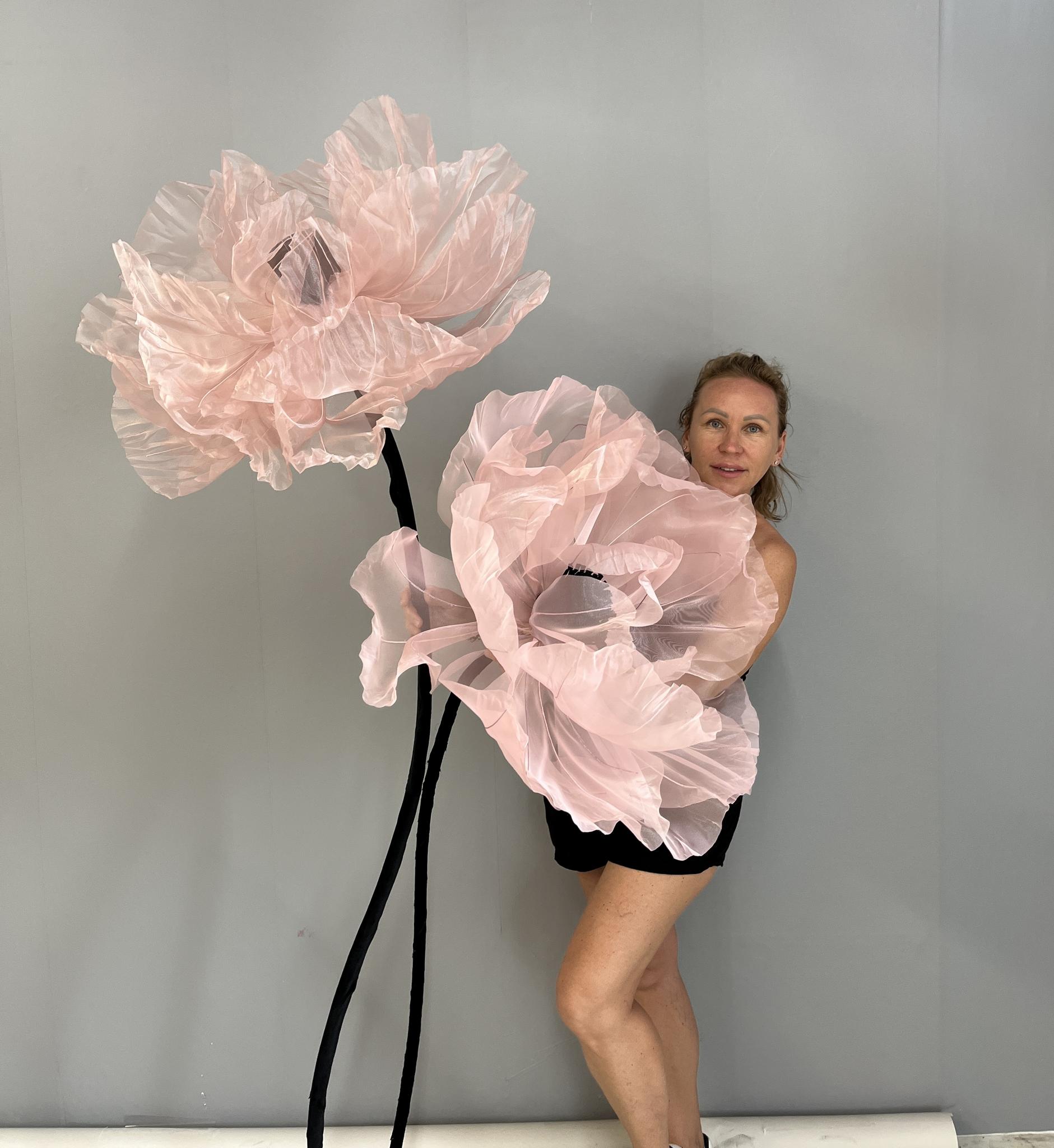 Giant Silk Peony