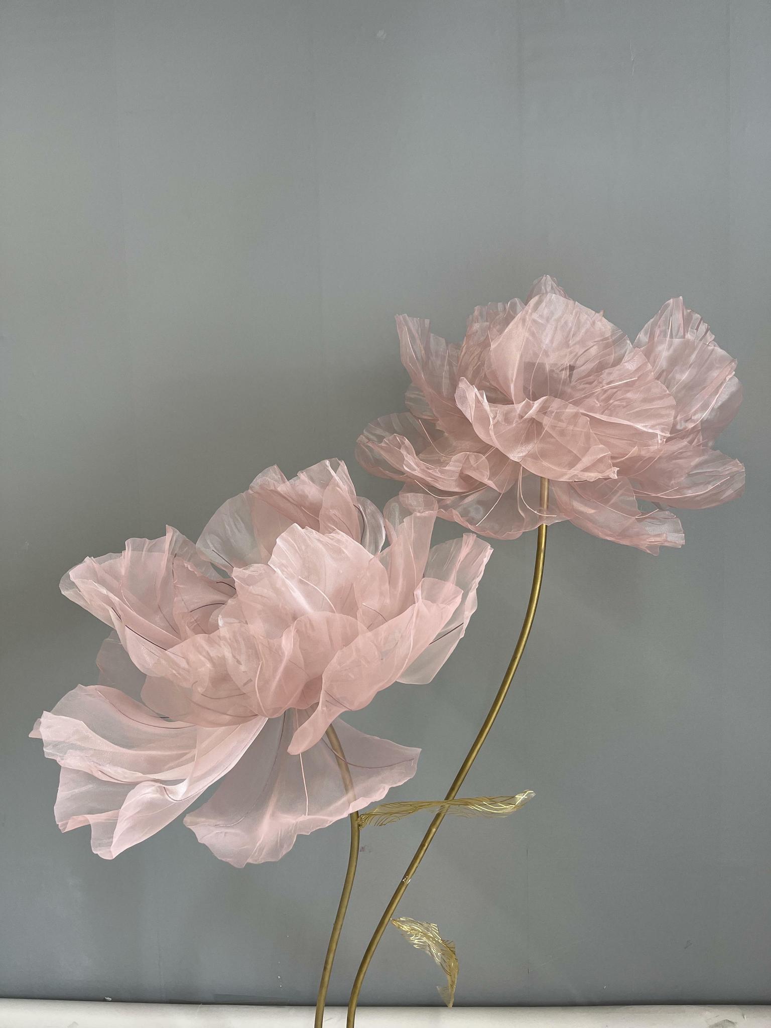 Giant Silk Peony