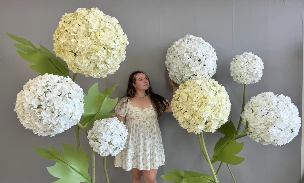 Rental Set #17 "Mega Ball"