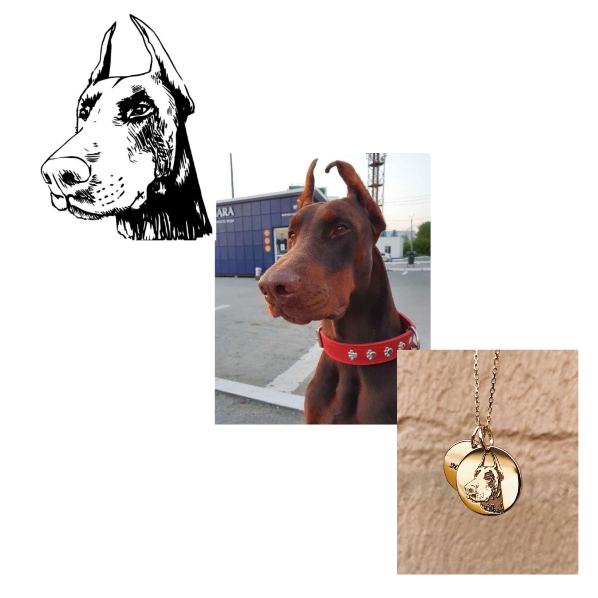 Адресники и медальоны для собак