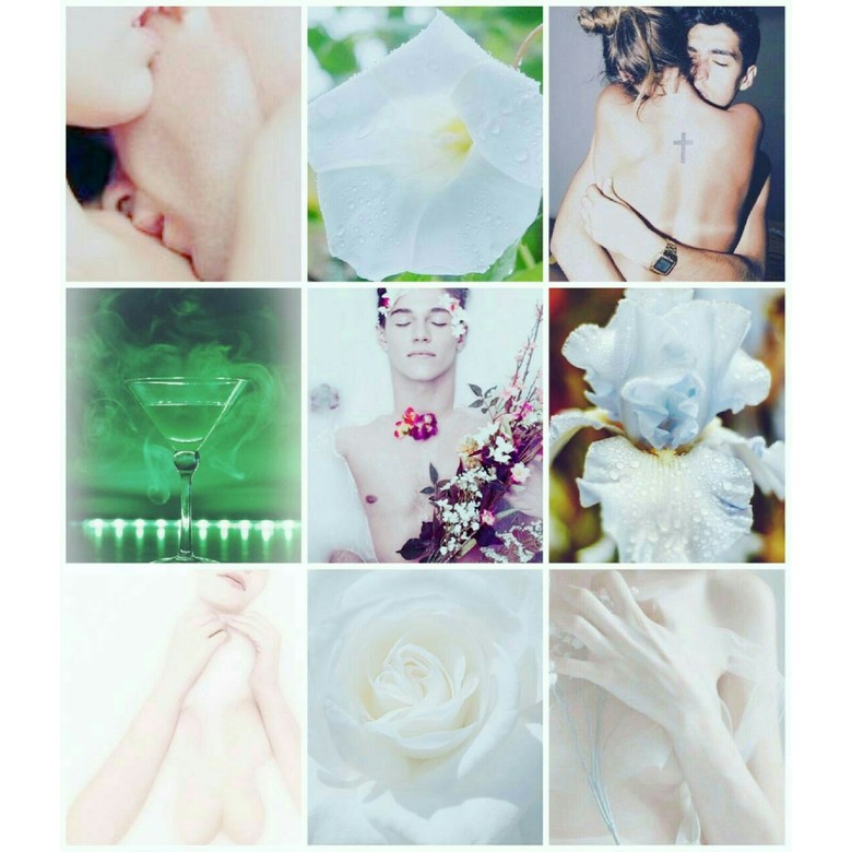 XXIII ANDROGYNE