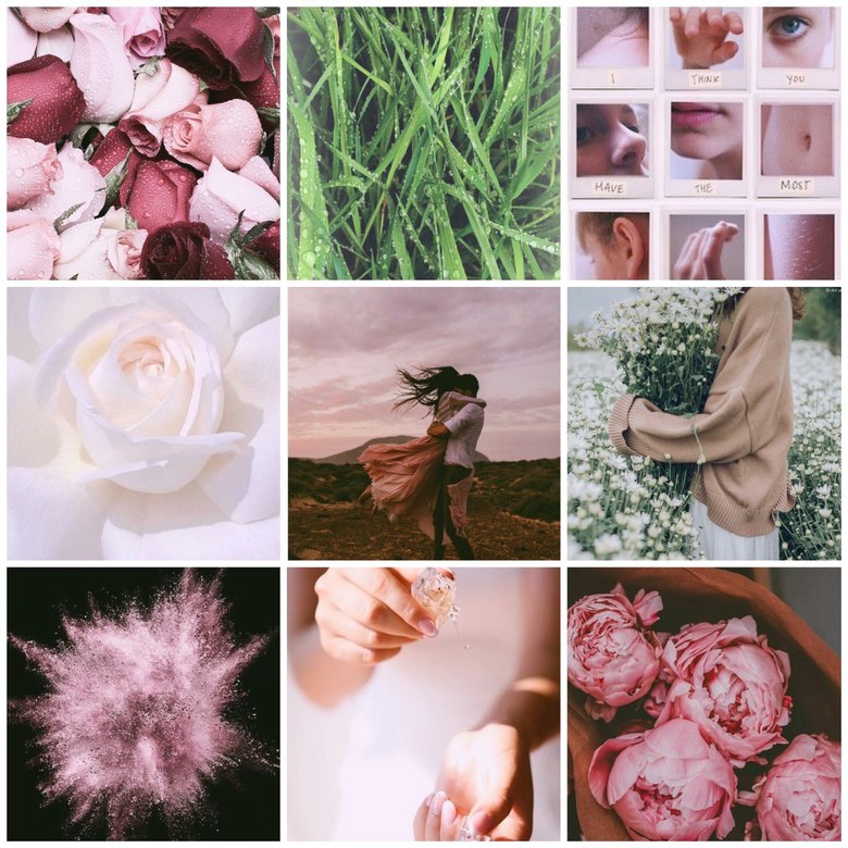 IV PEONY - π±