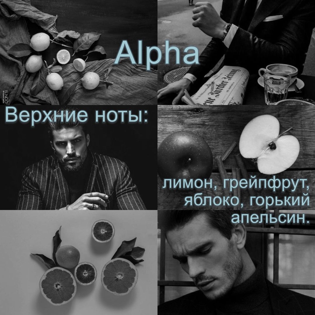 Alpha