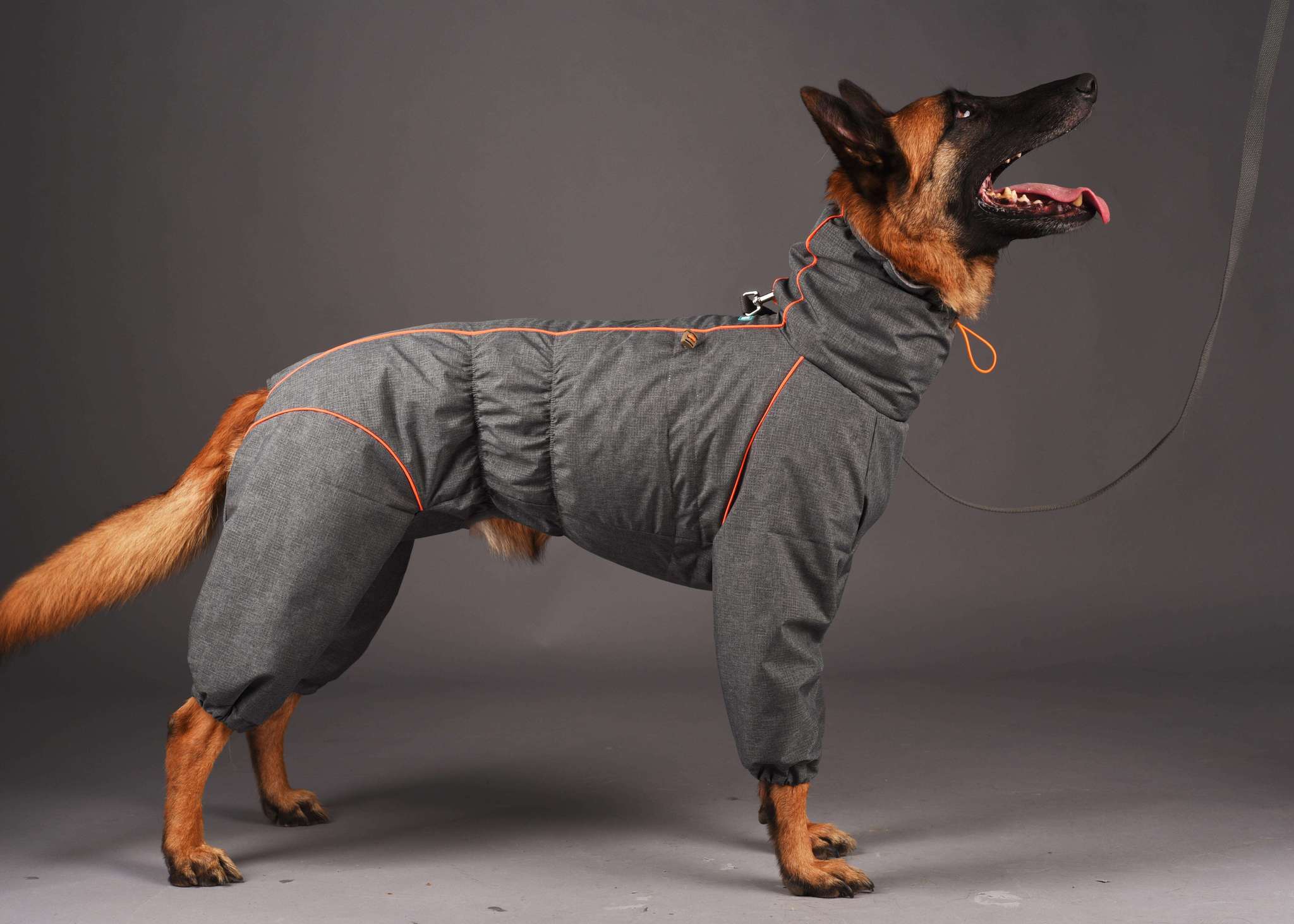 Одежда для собак интернет магазин - l2luna.ru