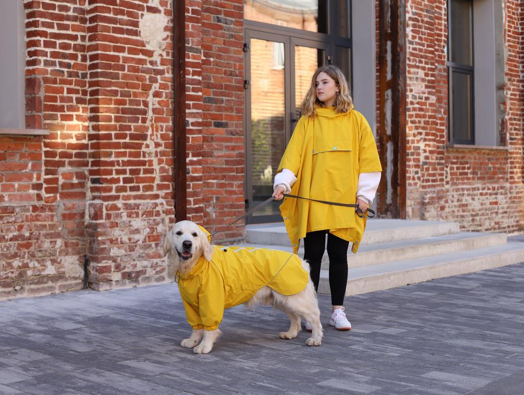 Family look Yellow