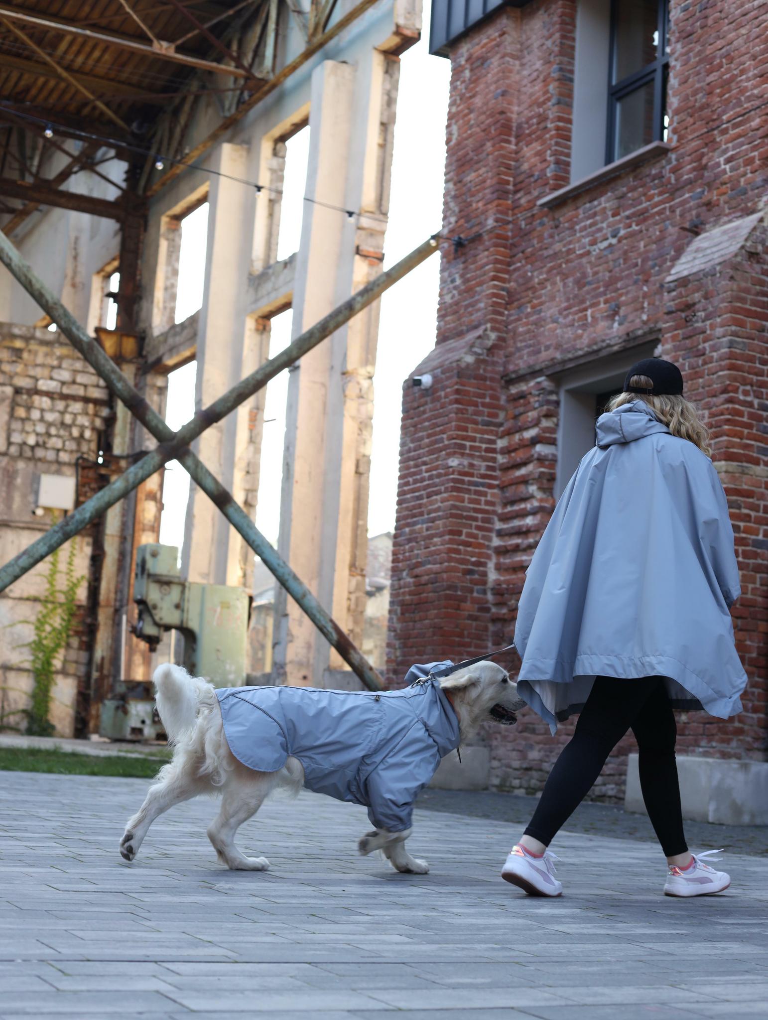 Мембранний дощовик собачника Grey