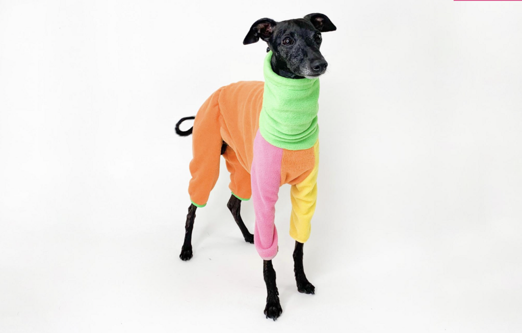 Флісовий ромпер Colorful