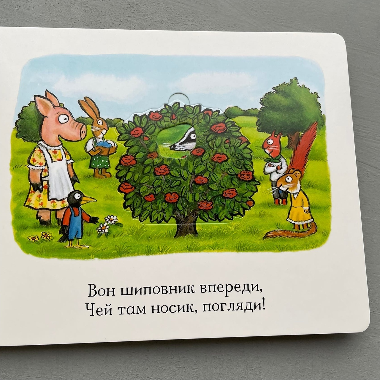 Книги > Хрюшкины прятки. Книжка с сюрпризами купить в интернет-магазине