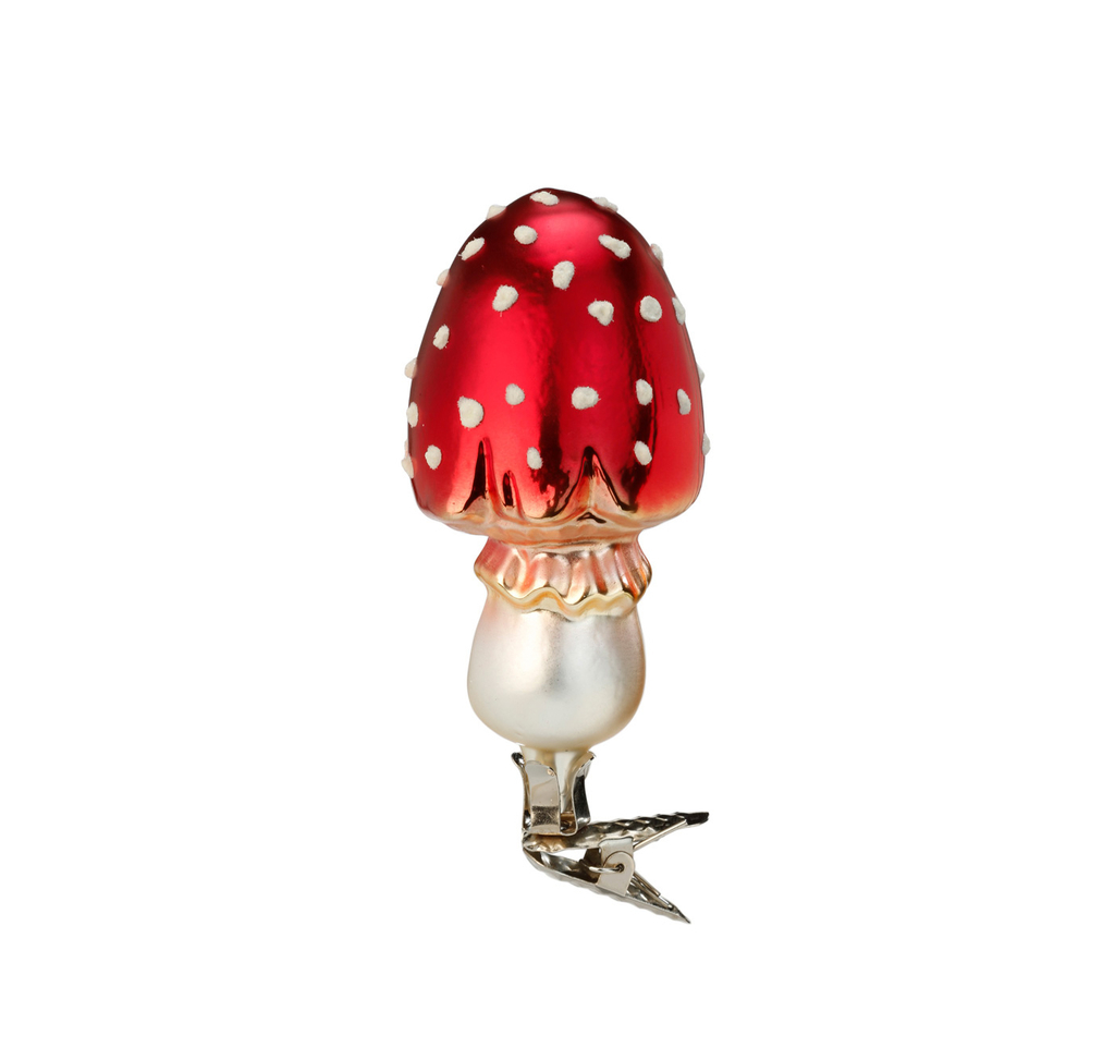 Jolly Mushroom Small