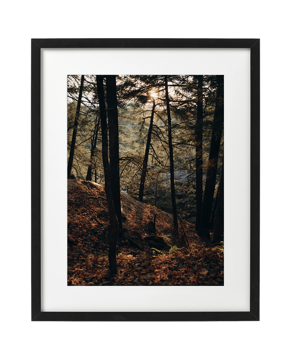 Forest, Vermont
