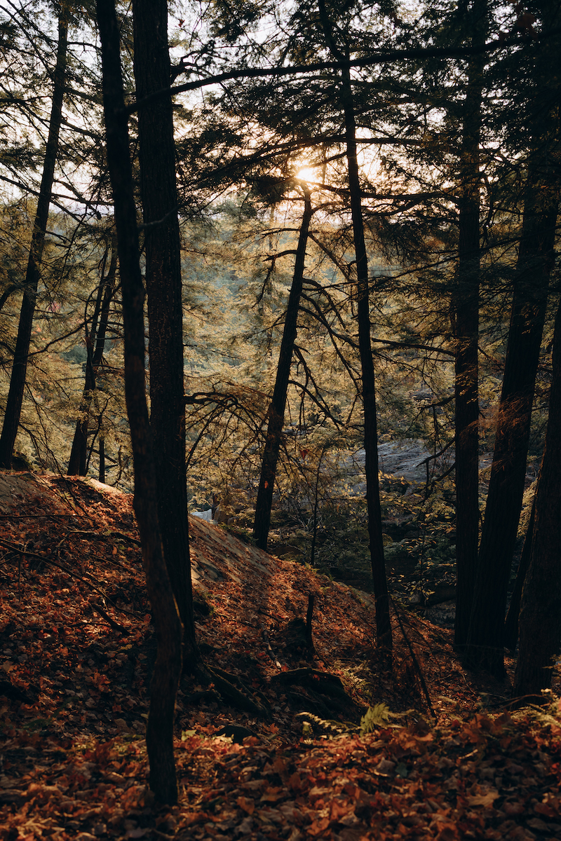 Forest, Vermont