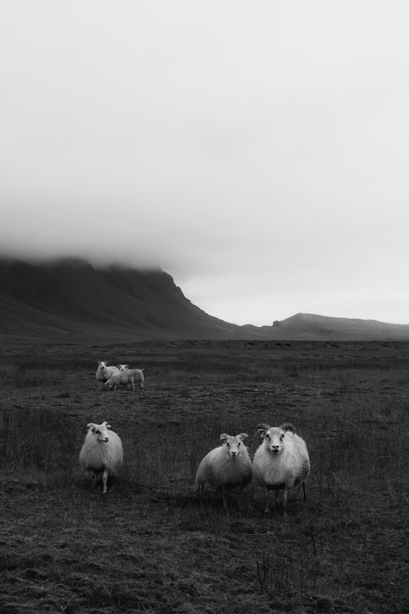 Iceland