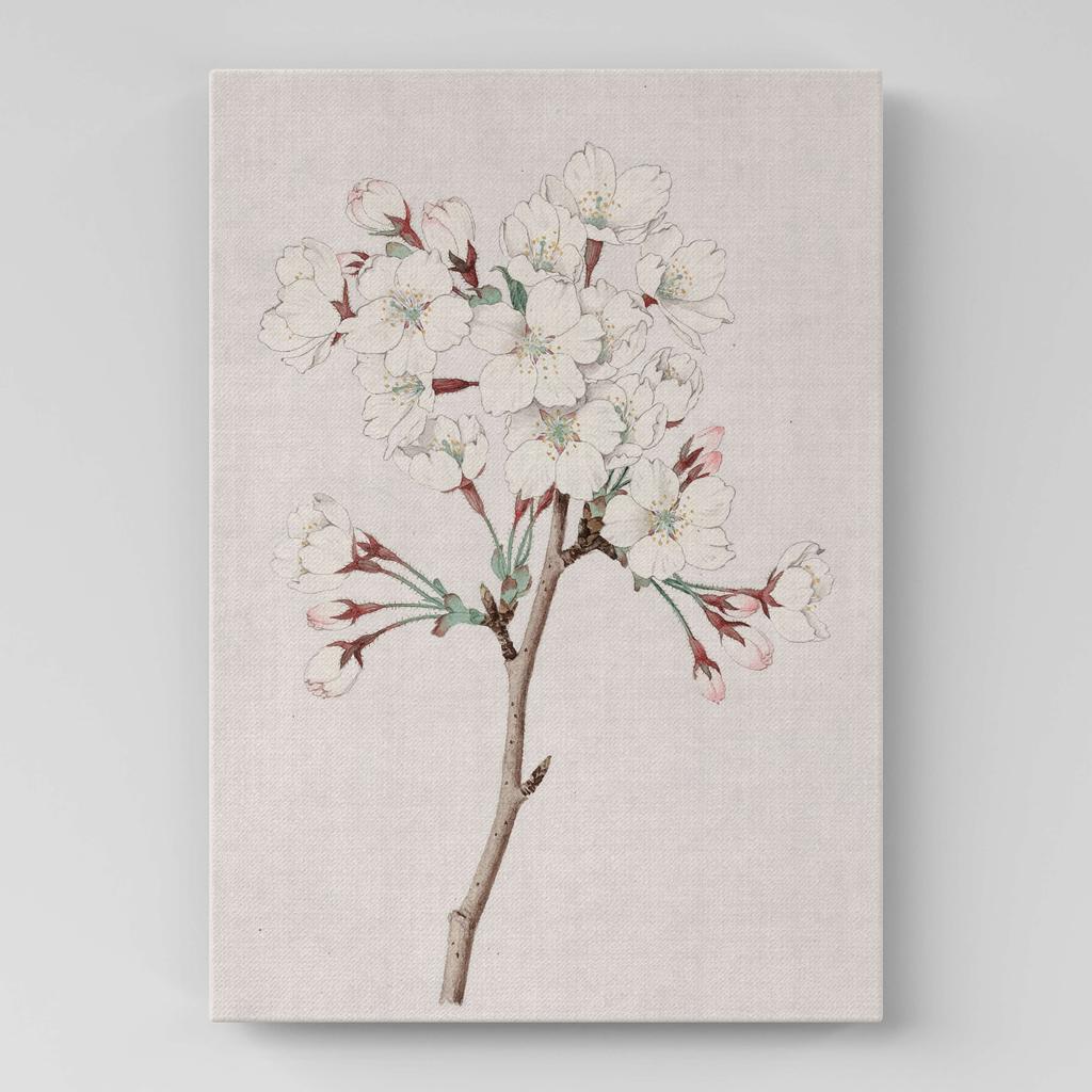 Картина с цветами (Ботаника) FB1004