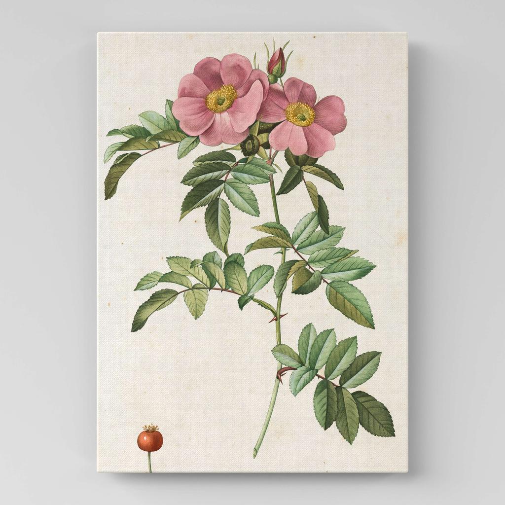 Картина с цветами (Ботаника) FB1010