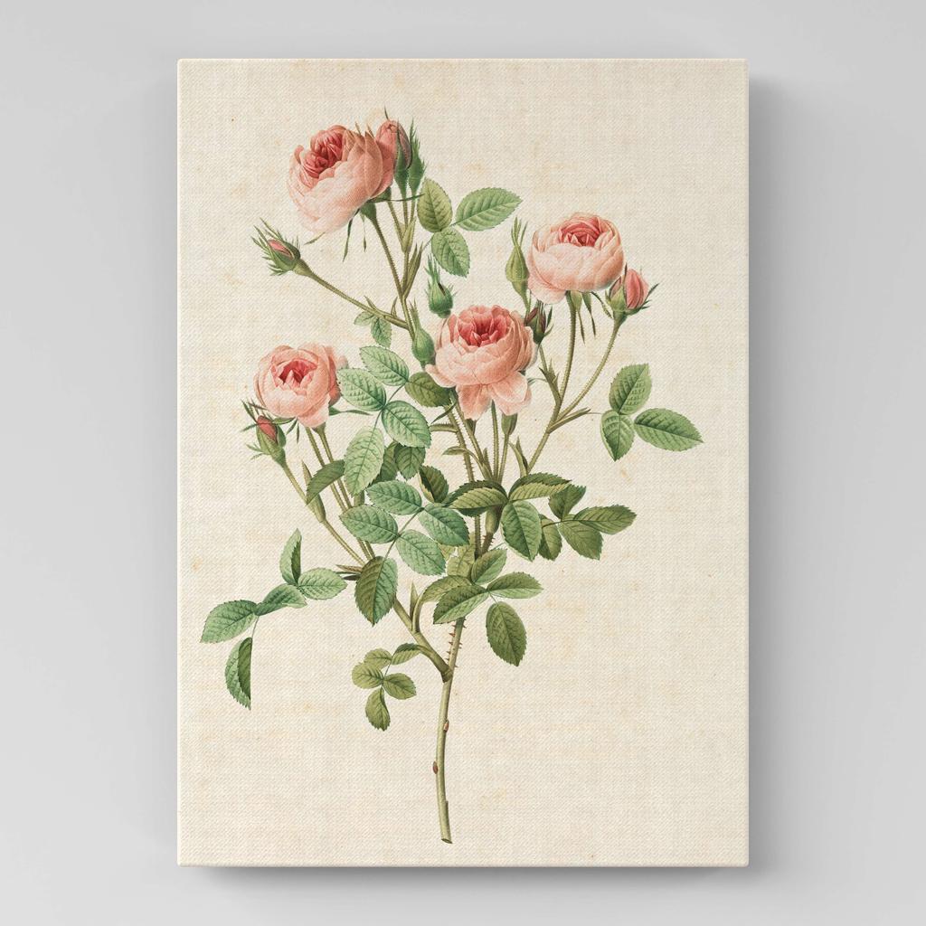 Картина с цветами (Ботаника) FB1011