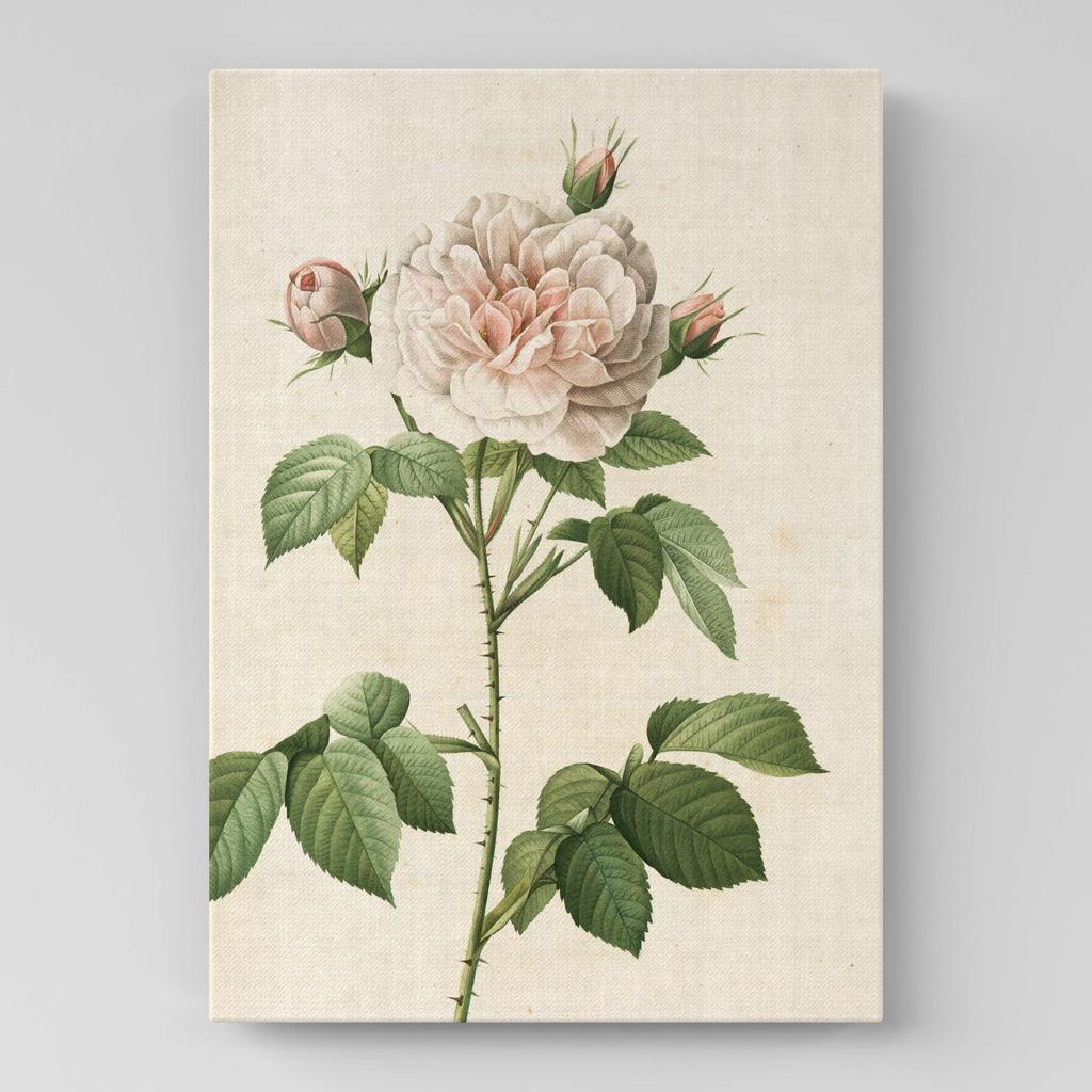 Картина с цветами (Ботаника) FB1015