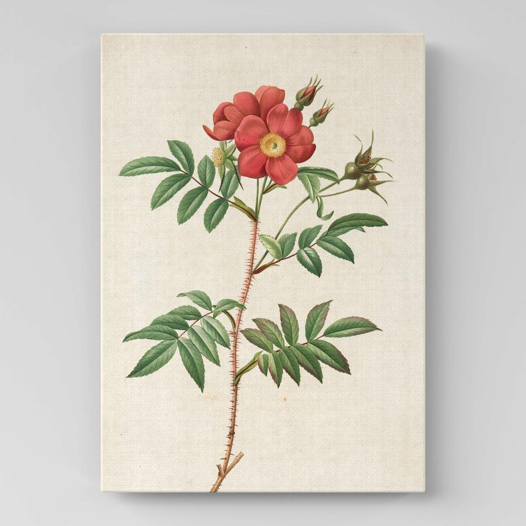 Картина с цветами (Ботаника) FB1016