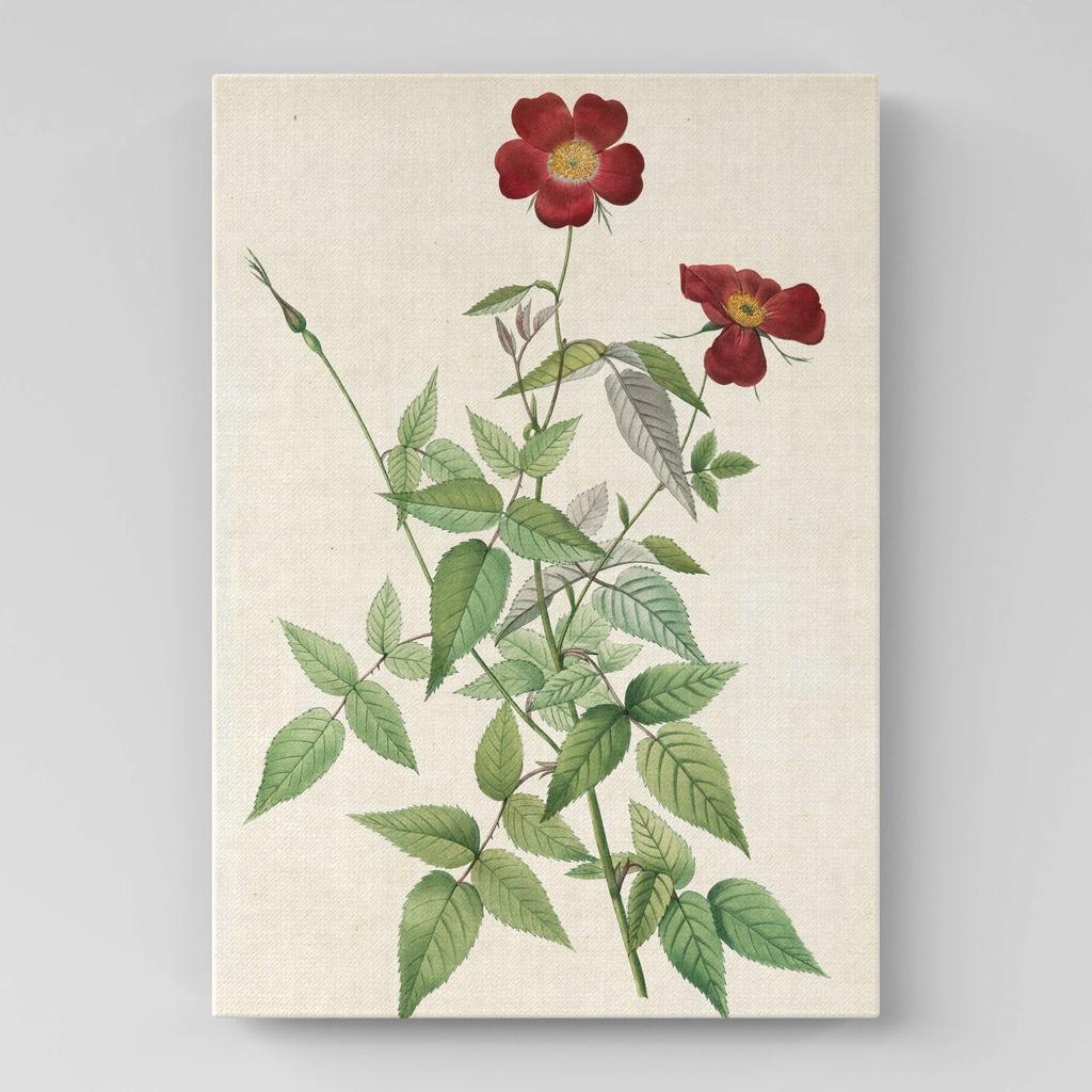 Картина с цветами (Ботаника) FB1020