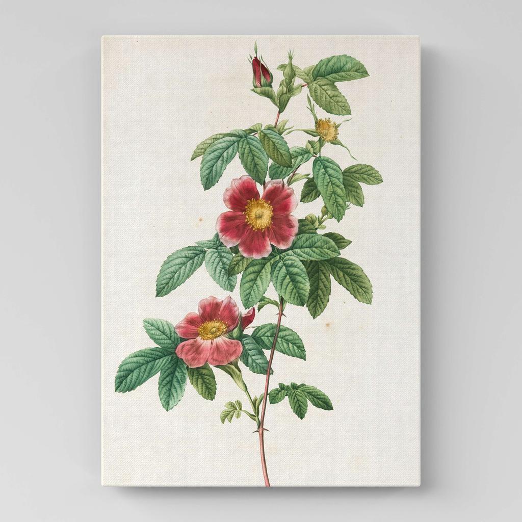 Картина с цветами (Ботаника) FB1021