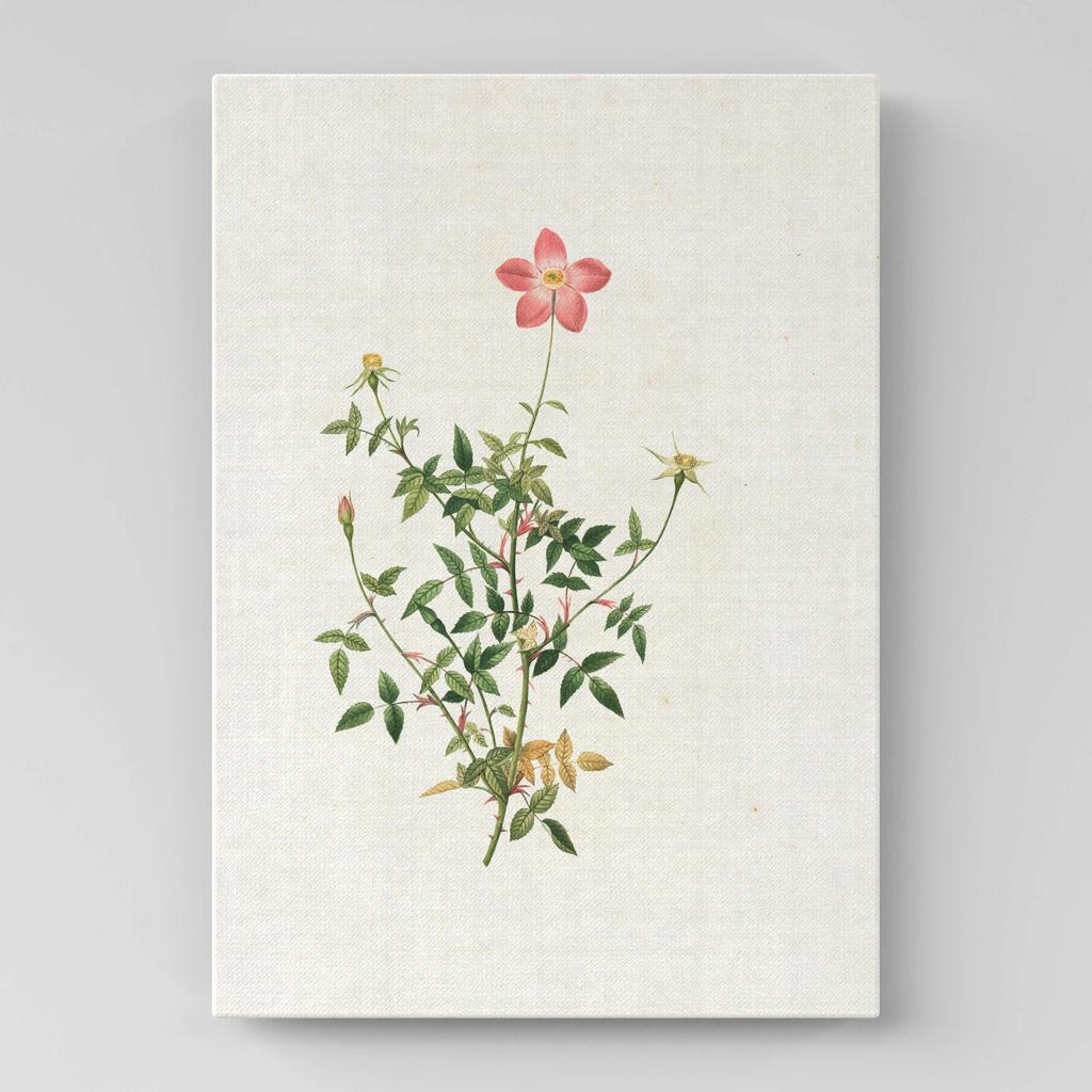 Картина с цветами (Ботаника) FB1022