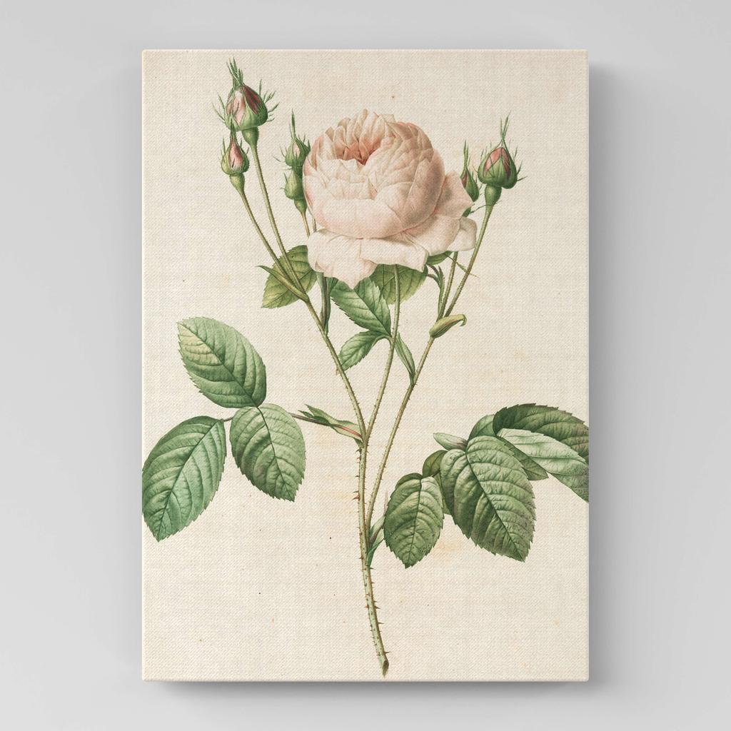 Картина с цветами (Ботаника) FB1023