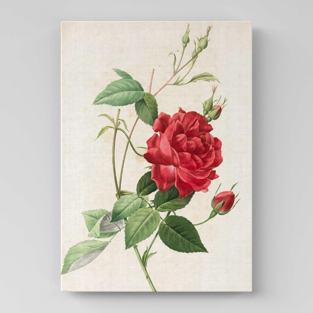 Картина с цветами (Ботаника) FB1026