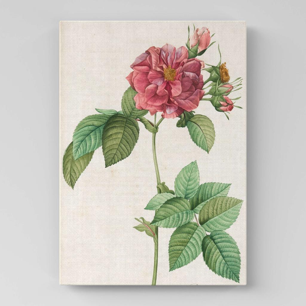 Картина с цветами (Ботаника) FB1028