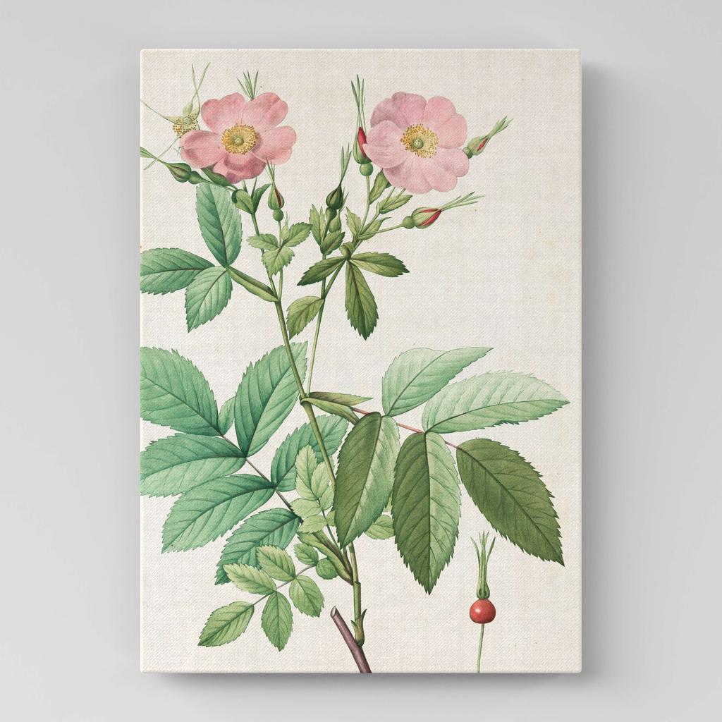 Картина с цветами (Ботаника) FB1030