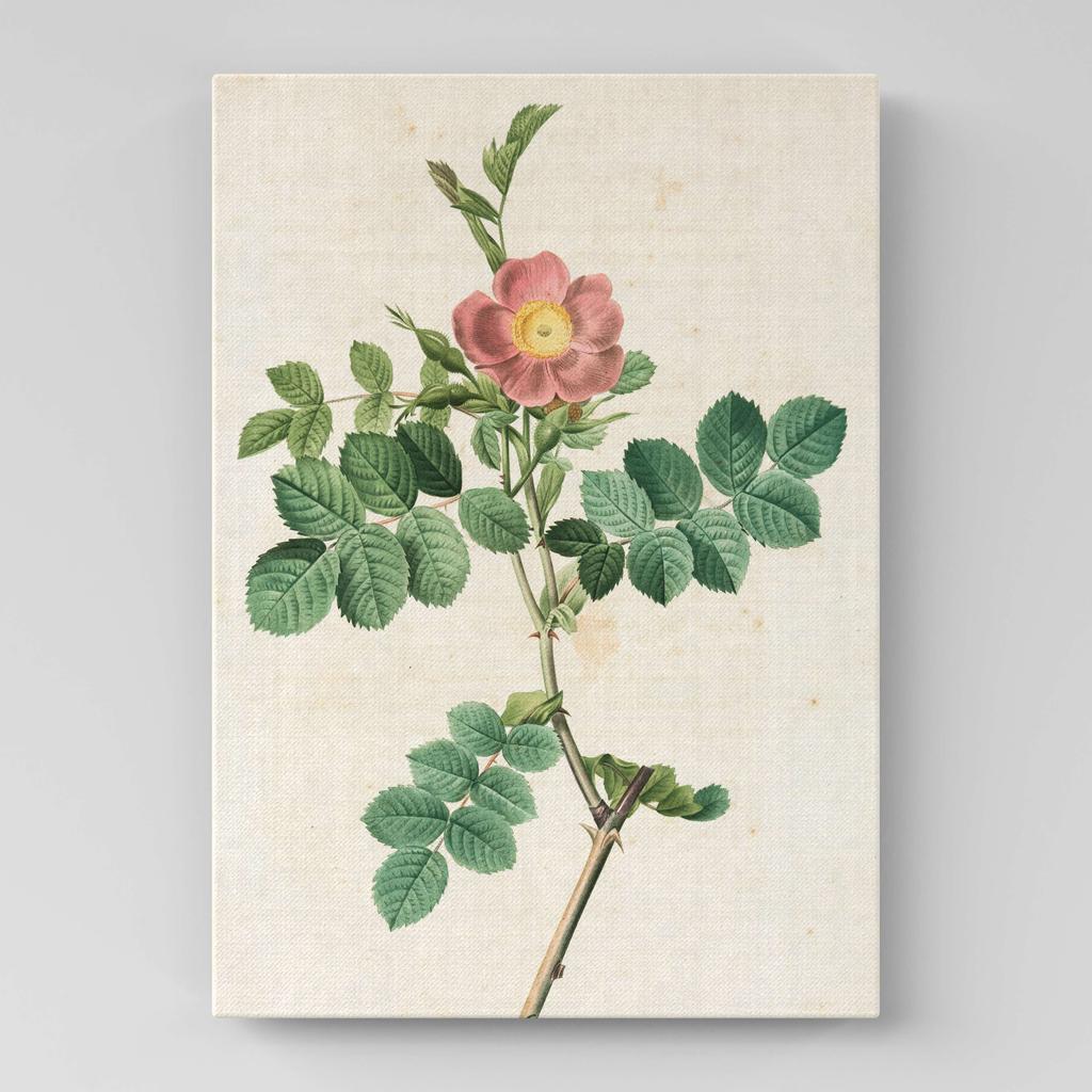 Картина с цветами (Ботаника) FB1037