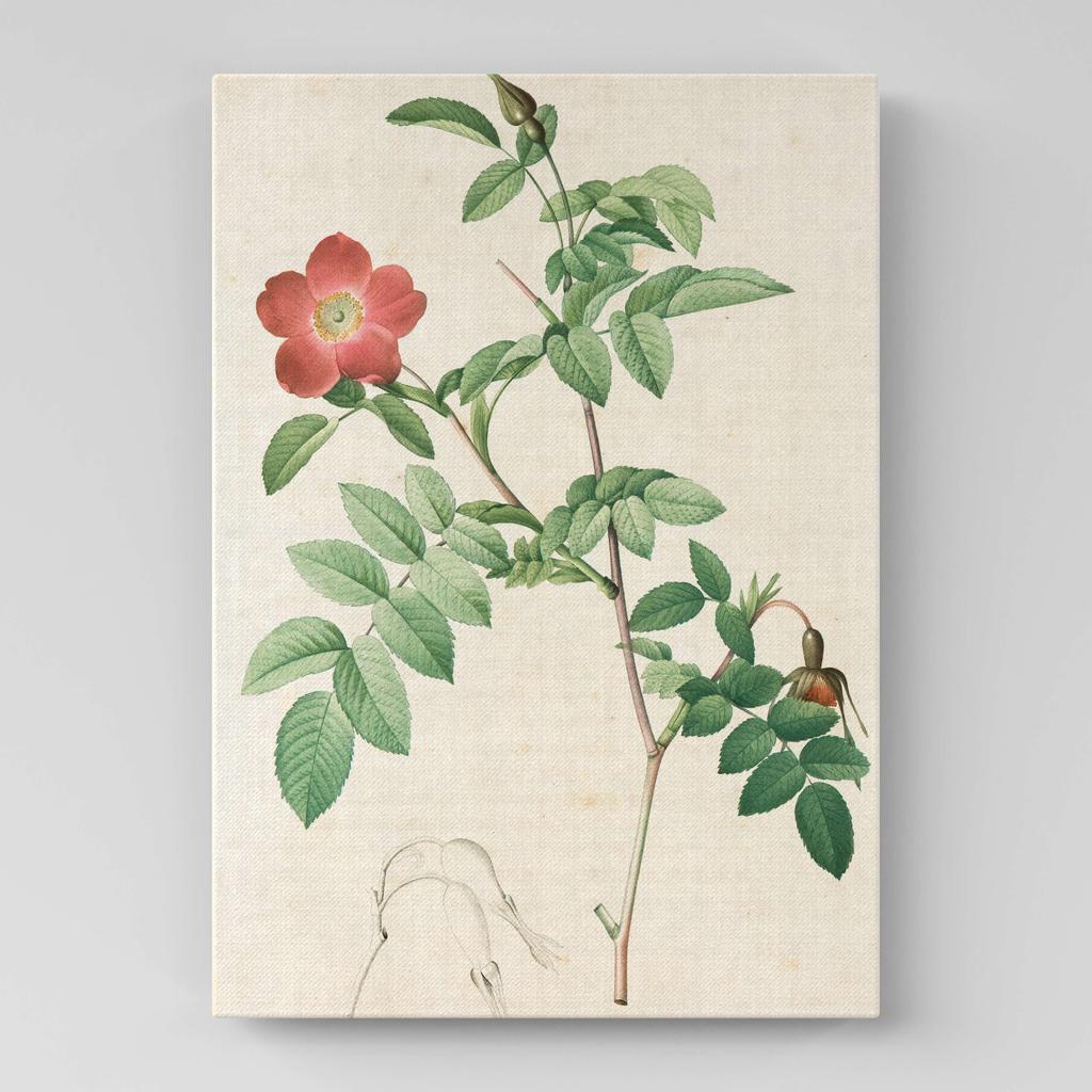 Картина с цветами (Ботаника) FB1038