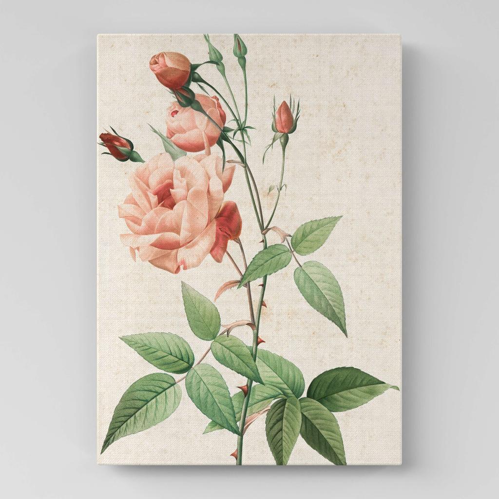 Картина с цветами (Ботаника) FB1046