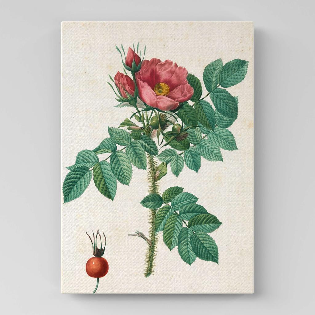 Картина с цветами (Ботаника) FB1051