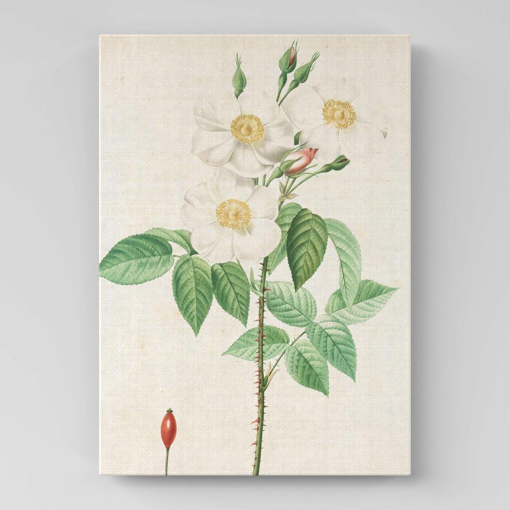 Картина с цветами (Ботаника) FB1053