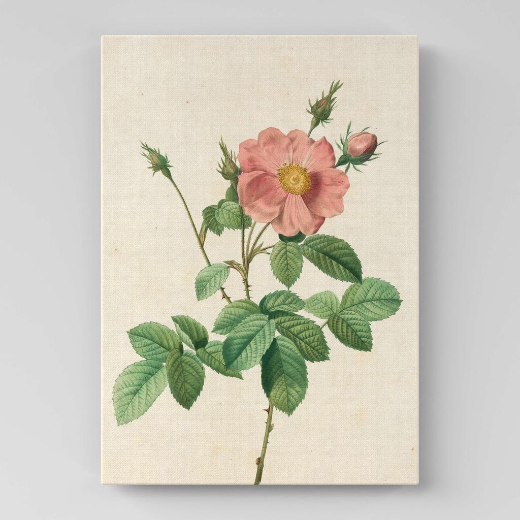 Картина с цветами (Ботаника) FB1061