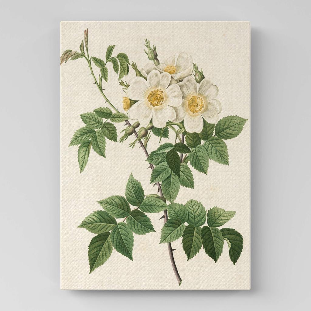 Картина с цветами (Ботаника) FB1067