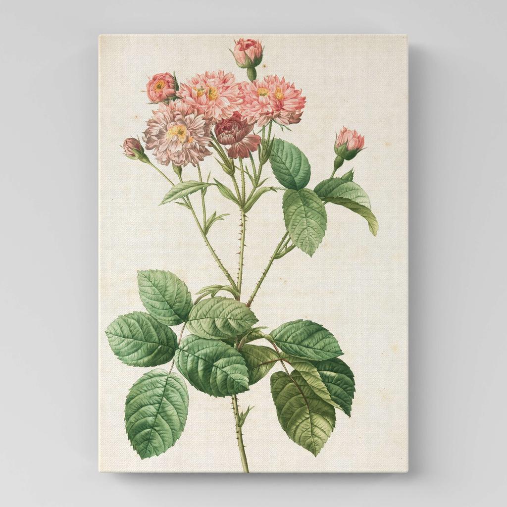 Картина с цветами (Ботаника) FB1069