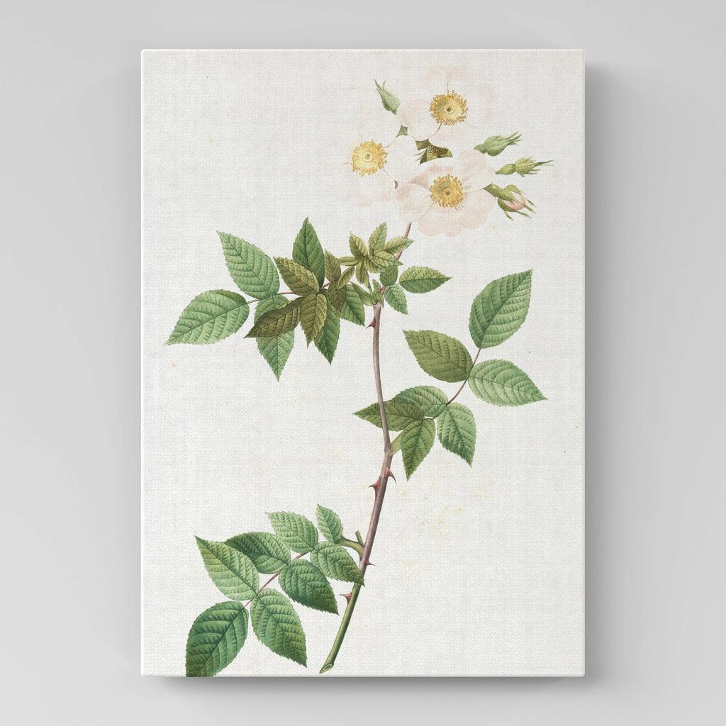 Картина с цветами (Ботаника) FB1073